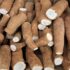 Avaram Poo Tea and Its Medicinal Values