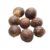 Organic Soap Nuts (Boondi Kottai, Reetha, Areetha, Kunkudukaialu) – 500gm